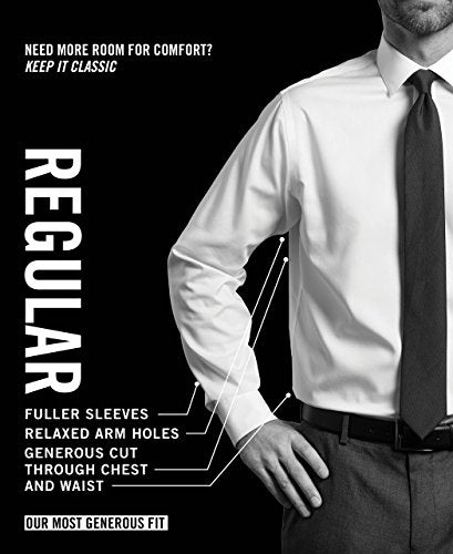 Regular Fit Wrinkle Free Stretch Dress Shirt